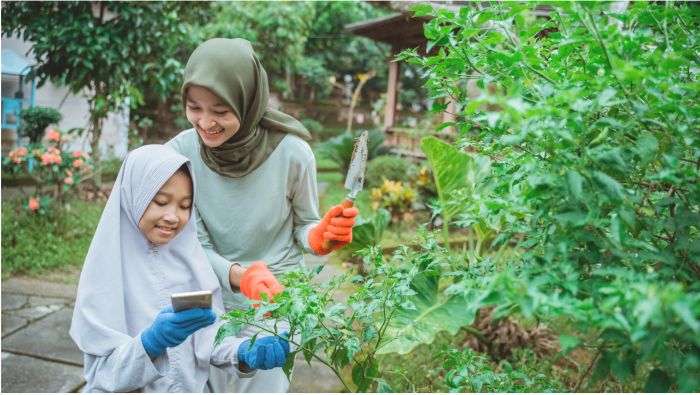 Tren Positif Yang Mulai Diminati Dalam Kehidupan Sehari-Hari
